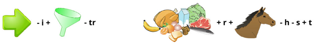 pil minus i plus tratt minus tr. mat plus r plus häst minus h minus s plus t