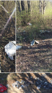 Tre bilder ihopklippta till en. Alla visar olika delar av ett nedskräpat naturområde.