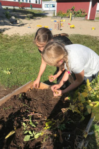 Olivia Larsson fixar maten. Aron Wiksten och Noomi Sandberg väntar.
