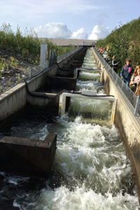 Klassen går nerför laxtrappan.