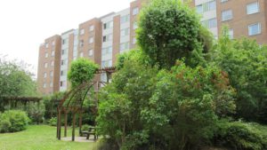 Grön gård intill höga bostadshus.