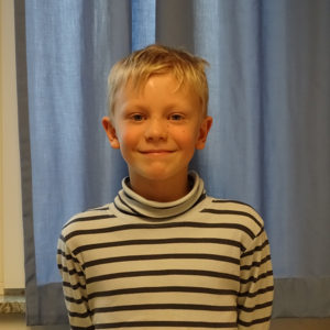 Karl-Henrik