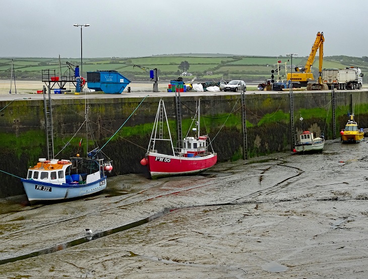 En torrlagd hamn. Längs med hamnkanten ligger det flera båtar. En fiskmås pickar i leran på bottnen.