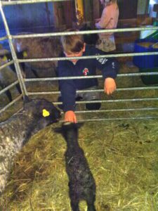 En pojke och en svart lamm