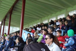 Publik på fotbollsmatch