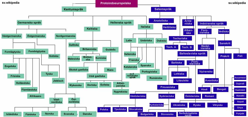 Indoeuropeiska språkträdet