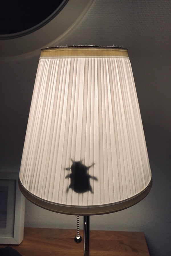 Foto på en spindellampa.