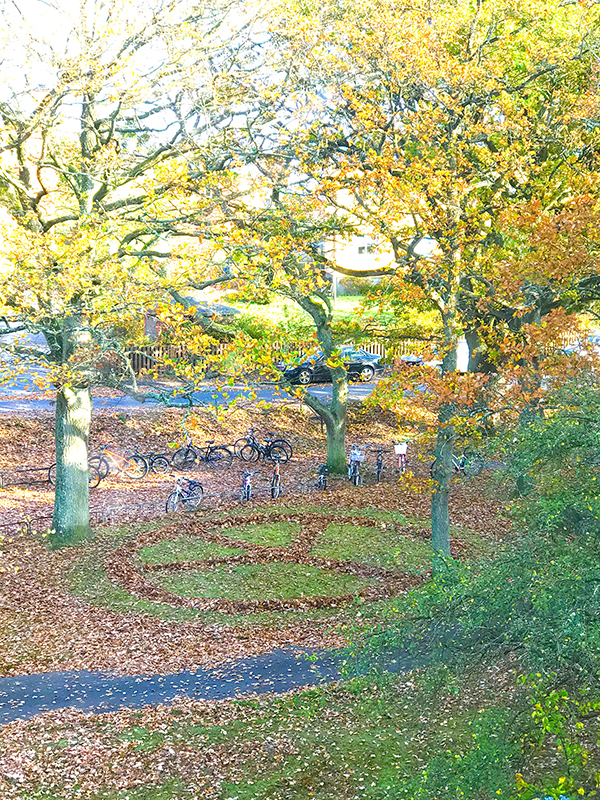 Fredssymbol gjord av bortkastade löv.