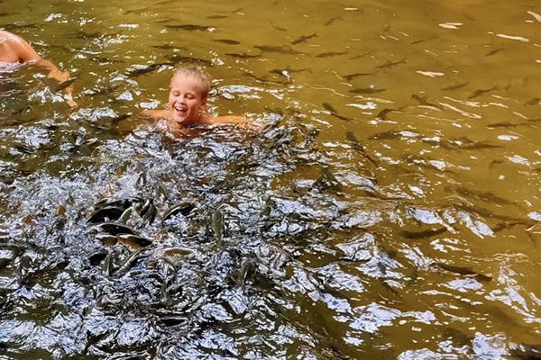 Oskar i vattnet omgiven av karpar.