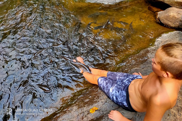 Många fiskar som har samlats runt Oskars fötter. Han sitter på en sten i vattenbrynet.