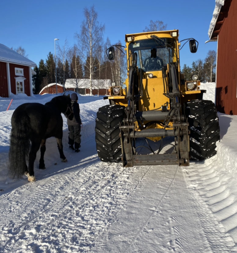 En traktor och en häst på en vinterväg.