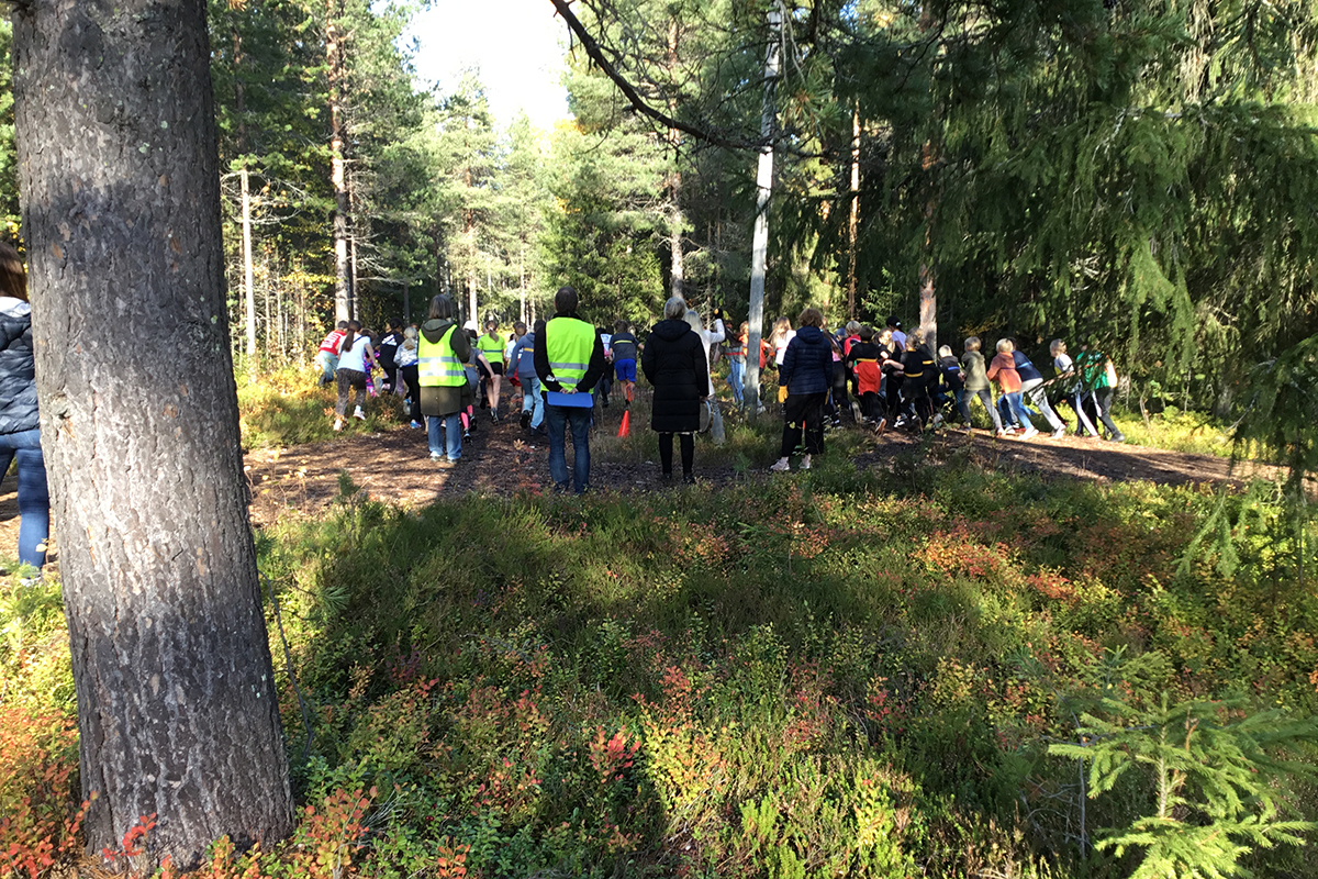 Elever och funktionärer som är samlade i en skogsmiljö.