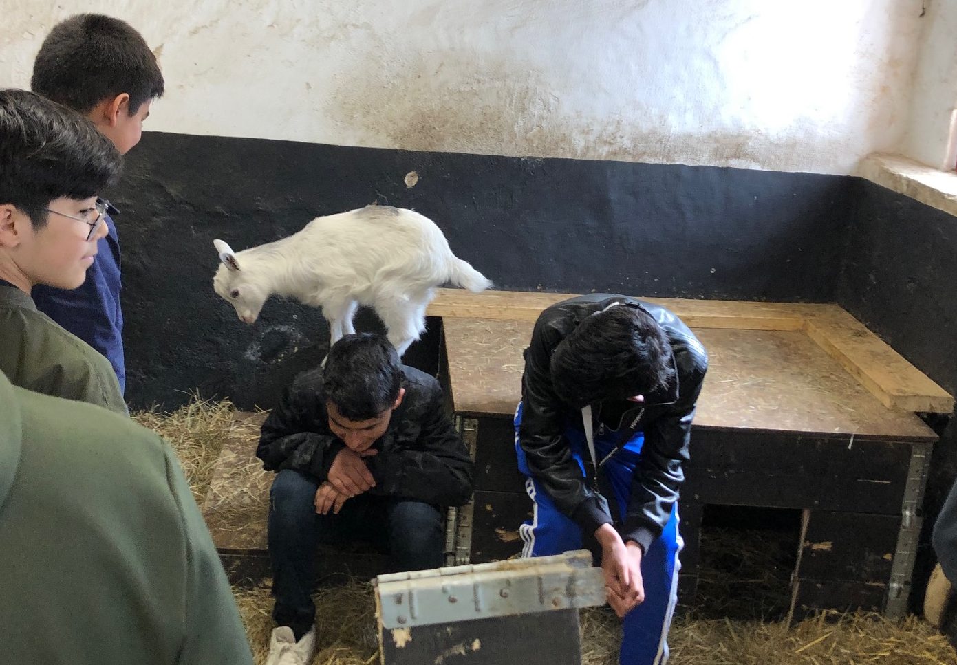 En killing står på ryggen på en av minireportrarna. 