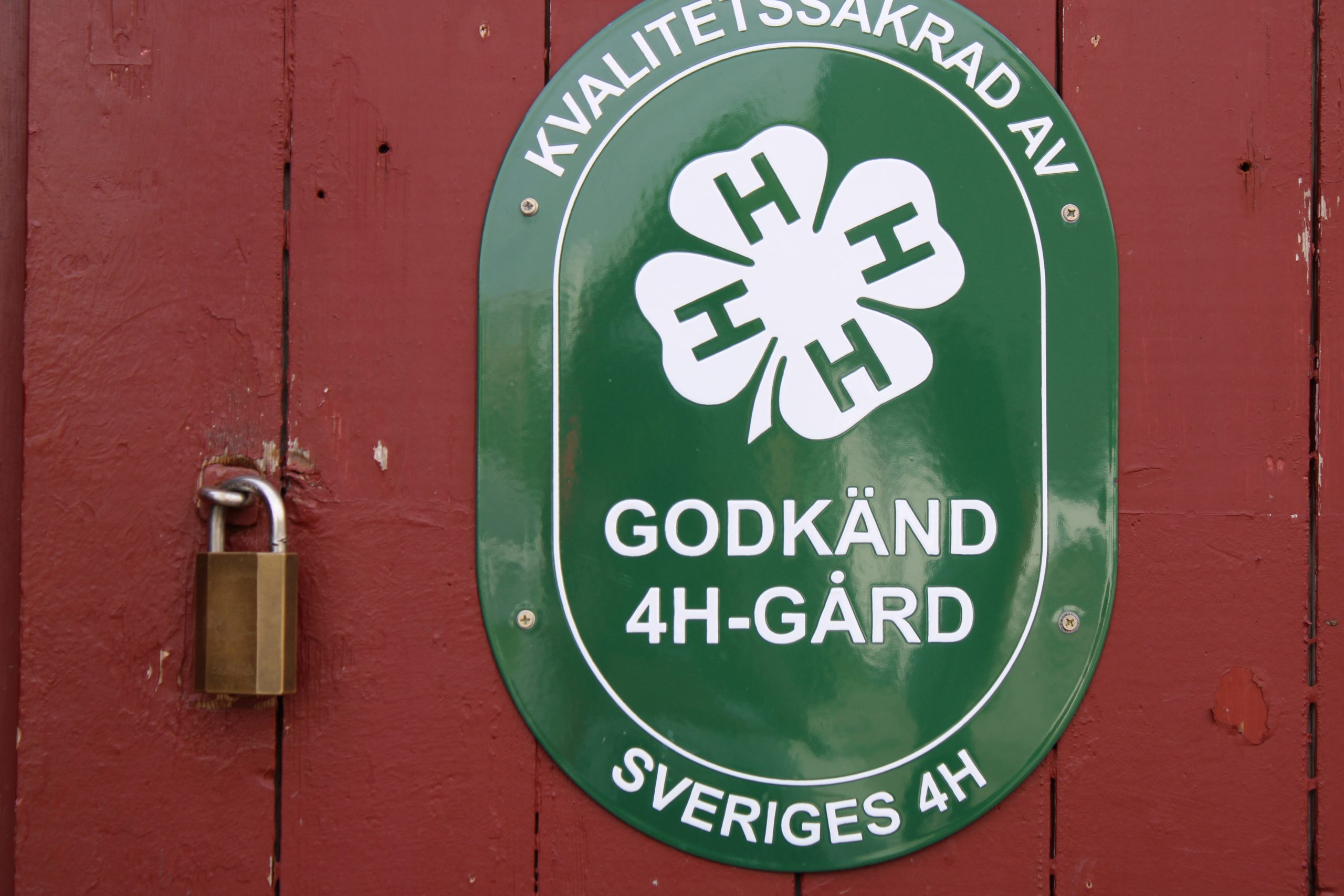 En 4H-skylt. 